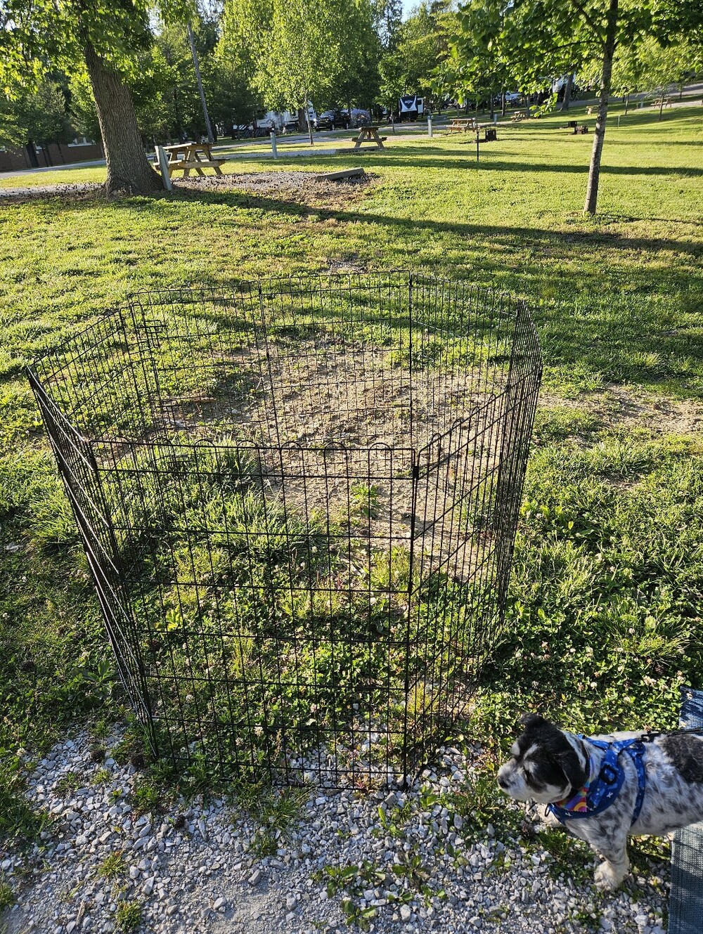 Black Foldable Wire Pet Playpen 8 Panels.
